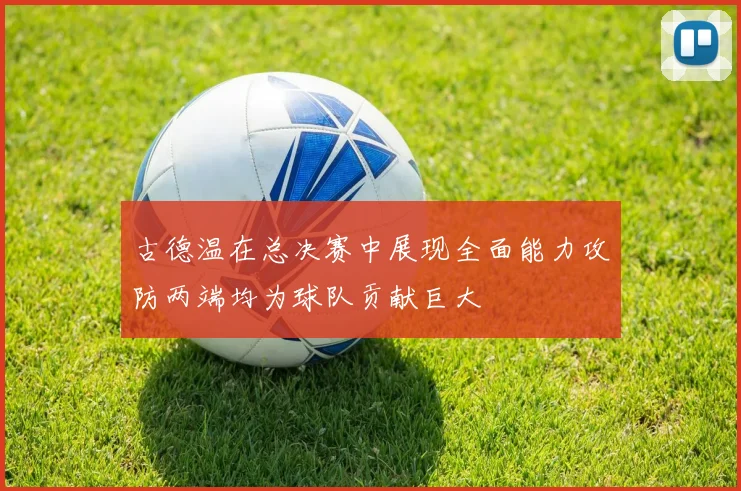 古德温在总决赛中展现全面能力攻防两端均为球队贡献巨大