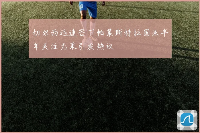切尔西迅速签下帕莱斯特拉国米半年关注无果引发热议