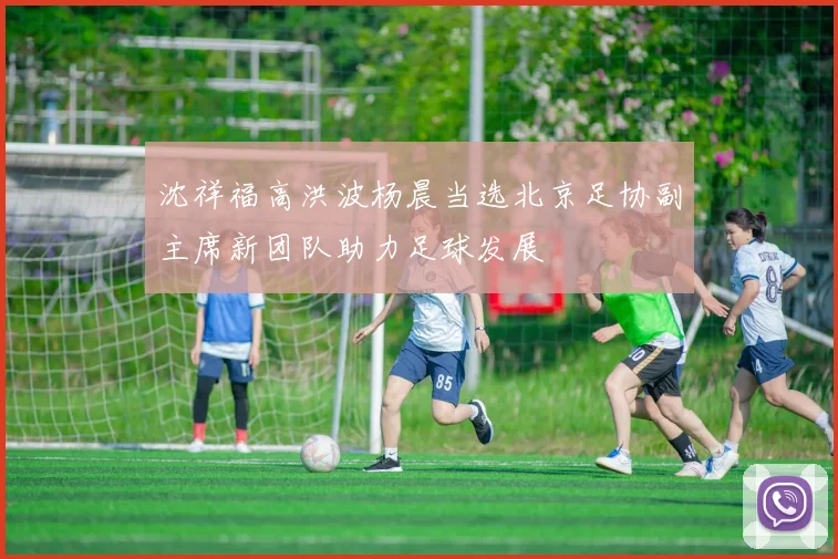 沈祥福高洪波杨晨当选北京足协副主席新团队助力足球发展