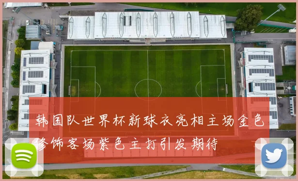 韩国队世界杯新球衣亮相主场金色修饰客场紫色主打引发期待
